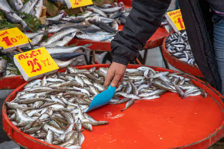 Fresh fish are sold at the market counterの写真素材