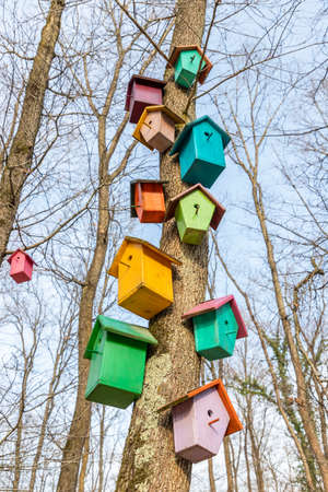 Colorful wooden beehives in forest