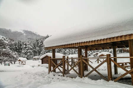 Turkey national park Abant, Boluの写真素材