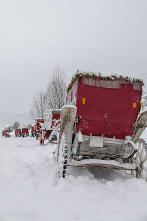 Turkey national park Abant, Boluの写真素材