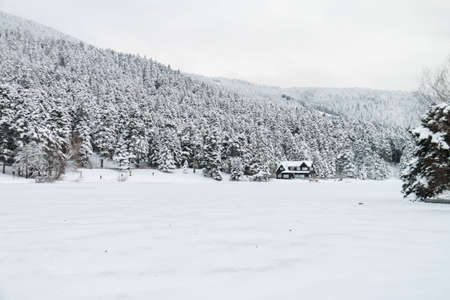 Turkey national park Abant, Boluの写真素材