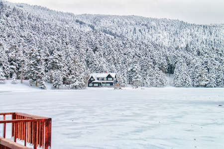 Turkey national park Abant, Bolu