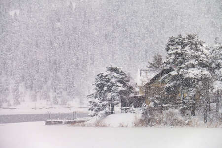 Turkey national park Abant, Boluの写真素材