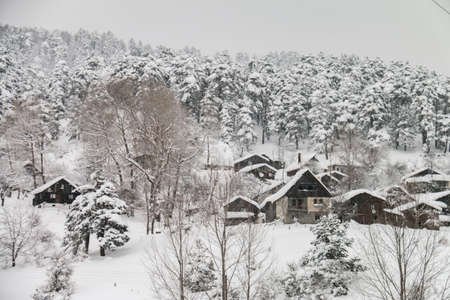 Turkey national park Abant, Boluの写真素材