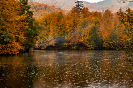 The Yedigoller Seven Lakes National Park is in the north of the Bolu province, and south of...