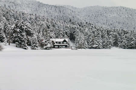Turkey national park Abant, Boluの写真素材
