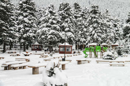 Turkey national park Abant, Boluの写真素材