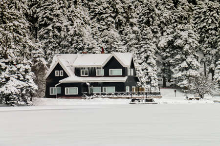 Turkey national park Abant, Boluの写真素材