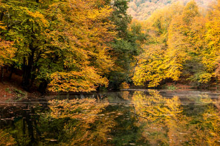 The Yedigoller Seven Lakes National Park is in the north of the Bolu province, and south of Zonguldak in the western Black Sea region.の写真素材