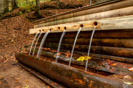 The Yedigoller Seven Lakes National Park is in the north of the Bolu province, and south of Zonguldak in the western Black Sea region.の写真素材