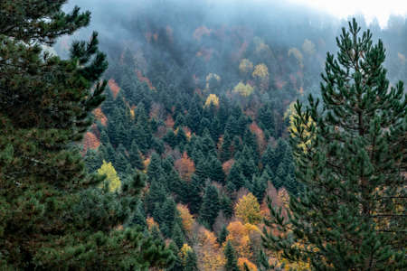 The Yedigoller Seven Lakes National Park is in the north of the Bolu province, and south of Zonguldak in the western Black Sea region.の写真素材