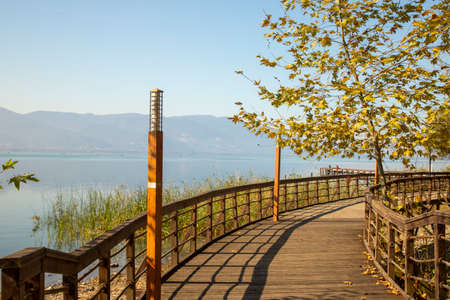 Romantic wooden walkway in trees by the lakeの写真素材