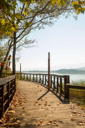 Romantic wooden walkway in trees by the lakeの写真素材