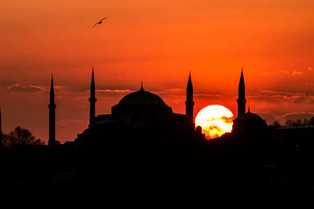 Cityscape of Istanbul with silhouettes of ancient mosques and minarets at sunset. Panoramic view, The Maiden's Tower, Galata Tower, Hagia Sophia, The Blue Mosque and TopkapÄ± Palace in Istanbul.のeditorial素材