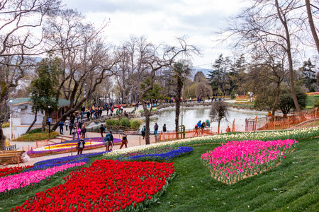 Emirgan Grove with many flower species, 2021-31 March, Istanbul, Turkeyのeditorial素材