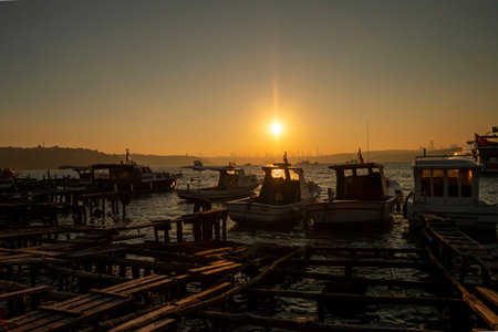 ISTANBUL, TURKEY - NOVEMBER 30, 2017: Beykoz Coats in Istanbul City.のeditorial素材