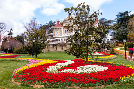 Emirgan Grove with many flower species, 2021-31 March, Istanbul, Turkeyのeditorial素材