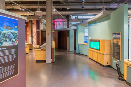 Kocaeli science and culture center, 30 october 2022, Kocaeli, Turkeyのeditorial素材