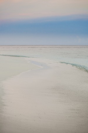 paradisiacal landscape tropical beach in the Maldivesの写真素材