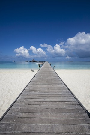 paradisiacal landscape tropical beach in the Maldivesの写真素材