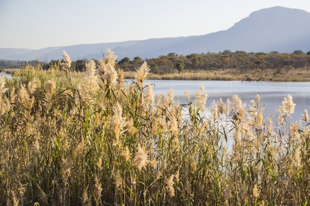 African landscape with mountain ponds and trees の写真素材