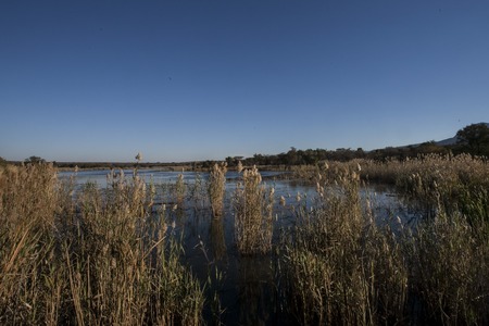 African landscape with mountain ponds and trees の写真素材