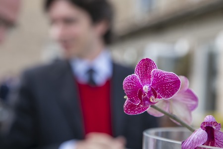 closeup of orchid with businessman in backgroundの写真素材