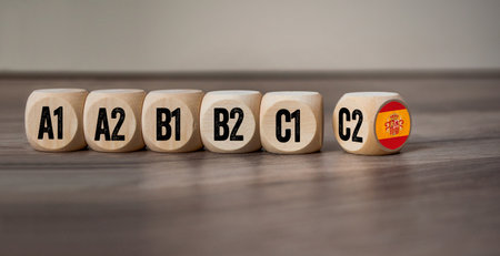 Cubes, dice or block with different language levels english, french, german, spanish on wodden backgroundの写真素材