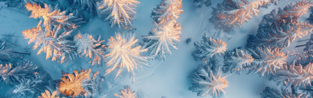 A snowy forest with trees covered in snow. The trees are bare and the snow is covering them. The sky is clear and the sun is shining brightlyの素材