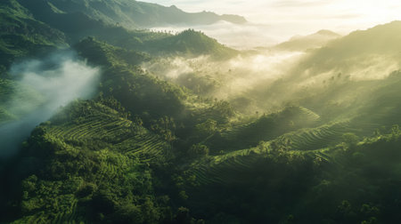 The early morning light casts a gentle glow over the lush forests and terraced landscapes of La Gomera, revealing misty hills and vibrant green valleys below.の素材