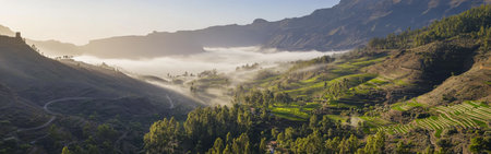 A serene view captures a valley in Gran Canaria at dawn, where morning fog drapes over green terraces and mountains, creating a tranquil atmosphere.の素材