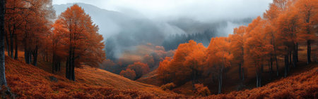 A tranquil forest showcasing a stunning array of orange and red foliage, with mist hovering over the hills in the early morning light. The peaceful scene captures the essence of autumn.の素材