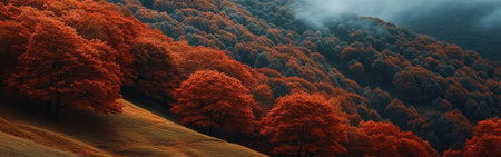The landscape showcases brilliant red and orange trees blanketing the hills, with soft mist drifting through the mountains on a serene autumn morning.の素材