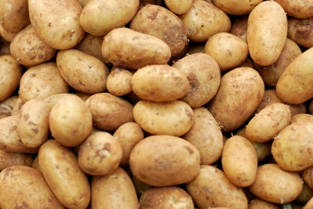 Potatoes, raw vegetables food in a marketplaceの写真素材