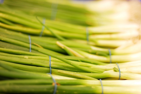Spring onions, closeup shotの写真素材