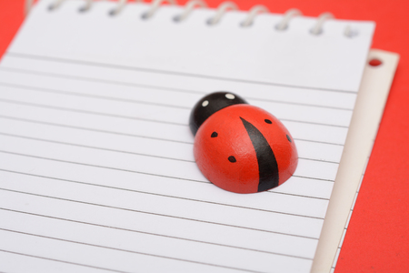 Closeup view of Ladybird on school notebookの写真素材