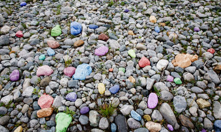 Small multi-colored forest stone texture background top view photo for your backdrop