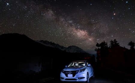 Beautiful scene of natural tree in the dark night.の写真素材