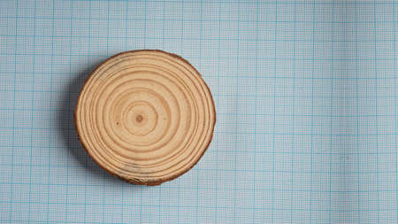 Old tree cut surface background on blue lines.の写真素材