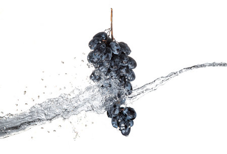 Splash of water crossing to black grapes on isolated white background.の写真素材