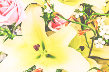 Bouquet abstractの写真素材