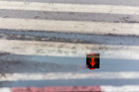 Crosswalk after raining with stop-and-go lightの写真素材