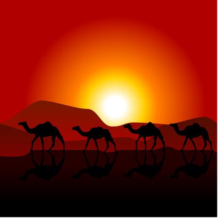 Silhouettes of caravan of camels on desert sunsetのイラスト素材