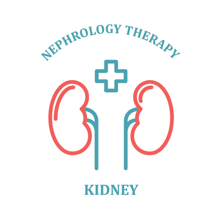 Kidney simple icon - nephrology departmentのイラスト素材