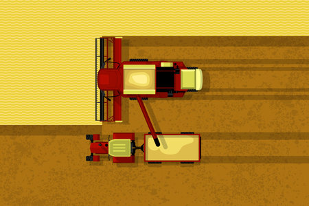 Grain harvester combine. Top view of harvester combine and tractor with trailer on field. Farmer work and harvesting, agriculture machinery, vectorのイラスト素材