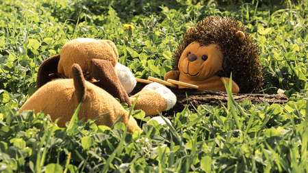 toys on a glade near a logの写真素材