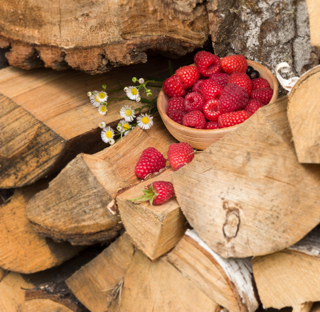 Raspberry berries lie on a bundle of firewood in the garden. Next to the berries lie chamomile flowers. series of picturesの写真素材