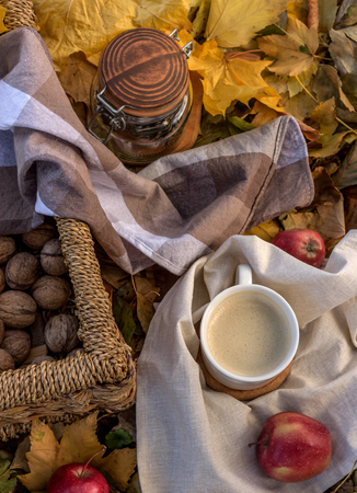 Cup of cappuccino, a wicker basket with nuts on autumn leaves.の写真素材