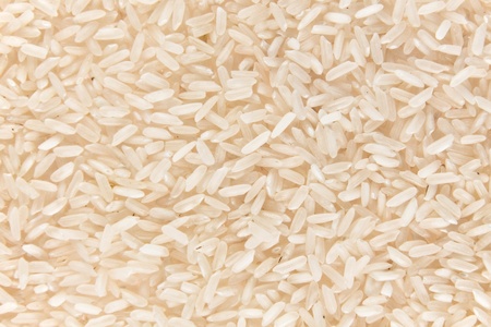 Background of rice.の写真素材
