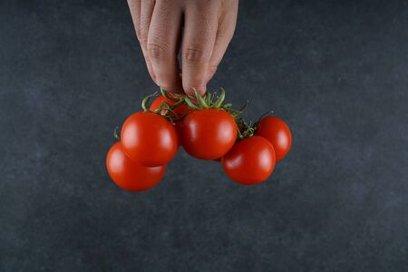 Tomatoes stock photoの写真素材